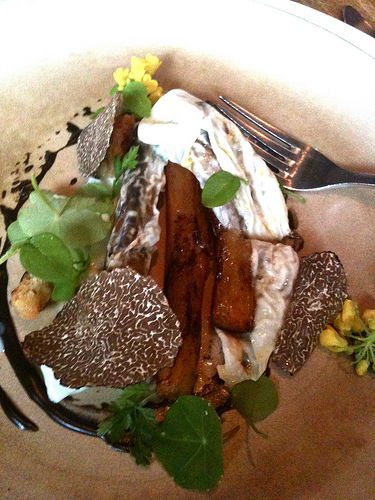 noma Restaurant in Copenhagen - Salsify and milk skin, truffle from Gotland