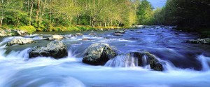 Great Smoky Mountains1