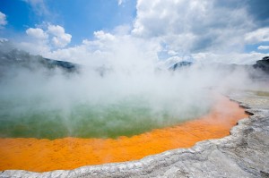 nuova zelanda