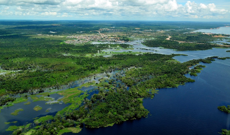 Risultati immagini per foresta pluviale amazzonica