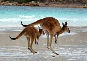 Australia